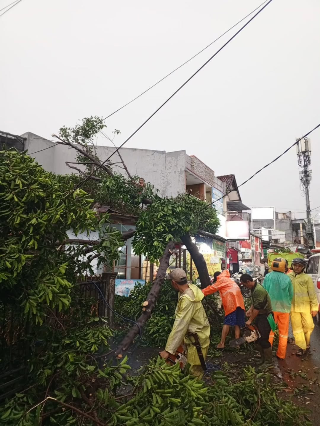 Hujan Deras Disertai Angin Kencang, Pohon Tumbang di Pasar Rebo Berhasil Diatasi